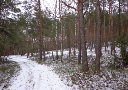 działka na sprzedaż - Sulejów (gw), Łazy-Dąbrowa