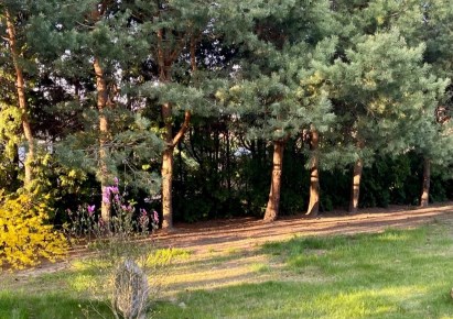działka na sprzedaż - Piotrków Trybunalski